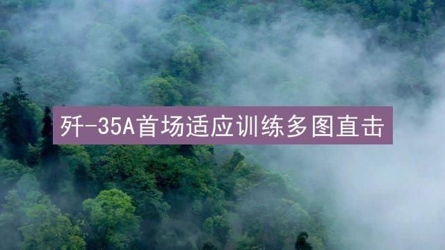 歼-35A首场适应训练多图直击